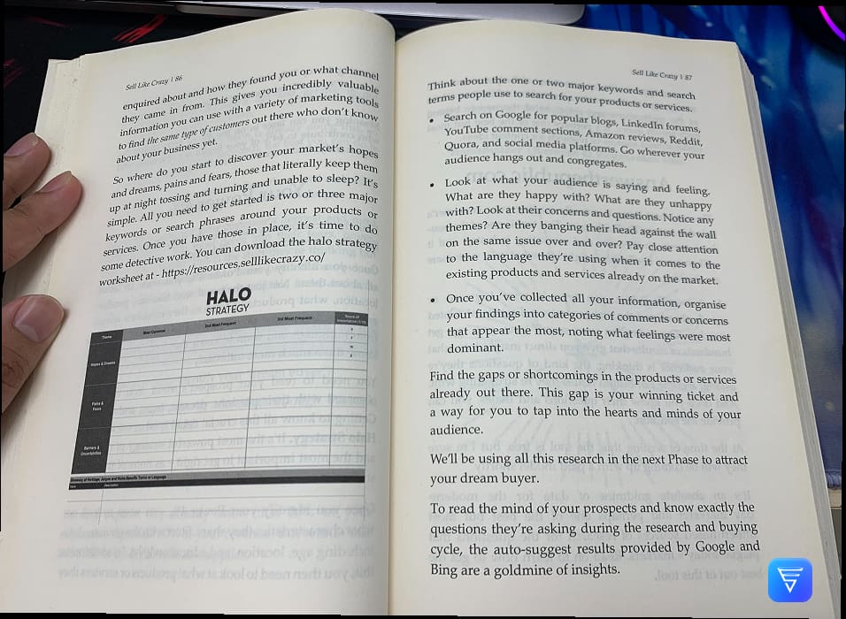 Sell Like Crazy Book review: HALO strategy
